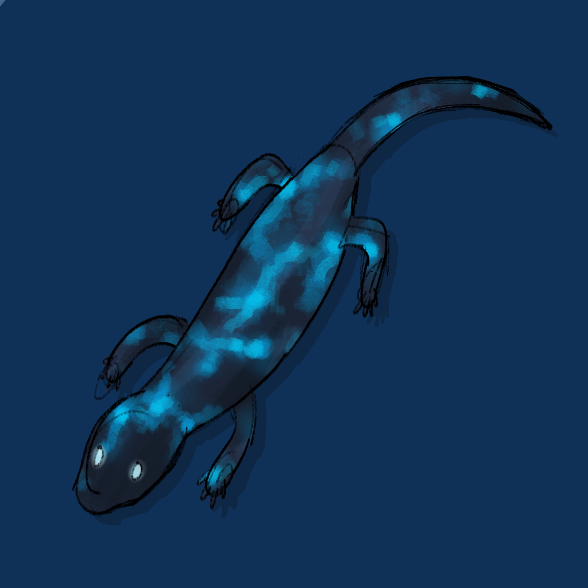 electric_salamander.jpg